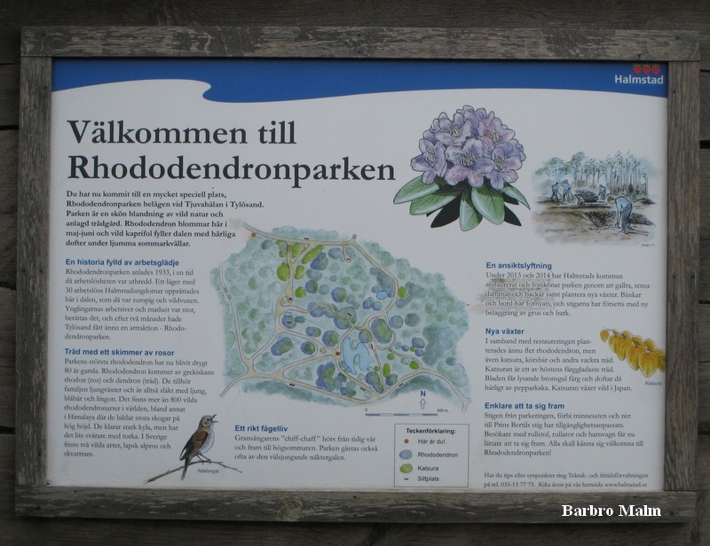 Rhododendronparken i Tylsand