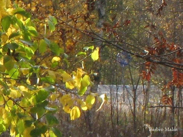 H�stf�rger