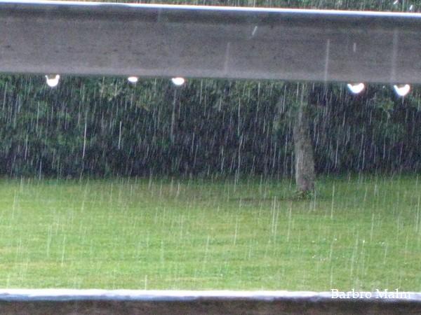 Regn