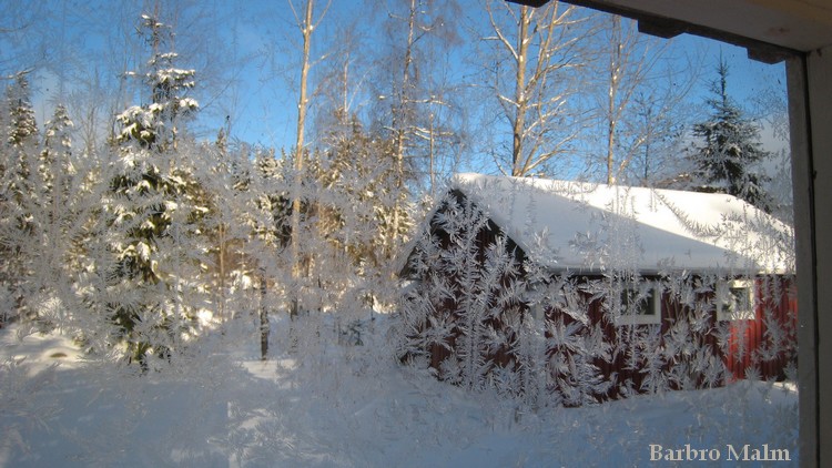 Vinter