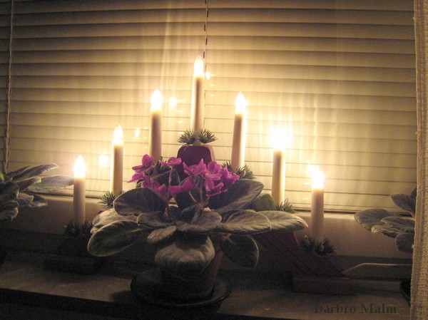 Adventsljusstake