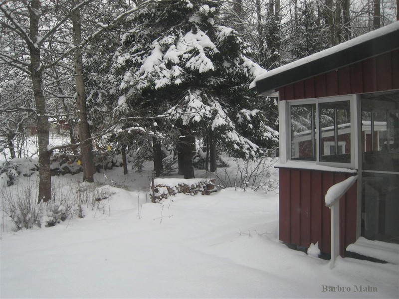 vinter
