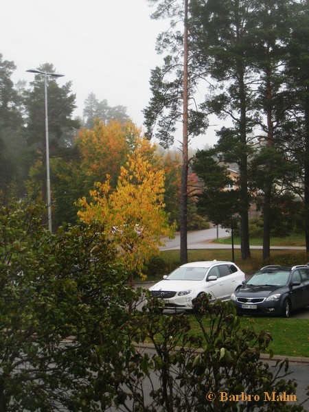 h�stf�rger