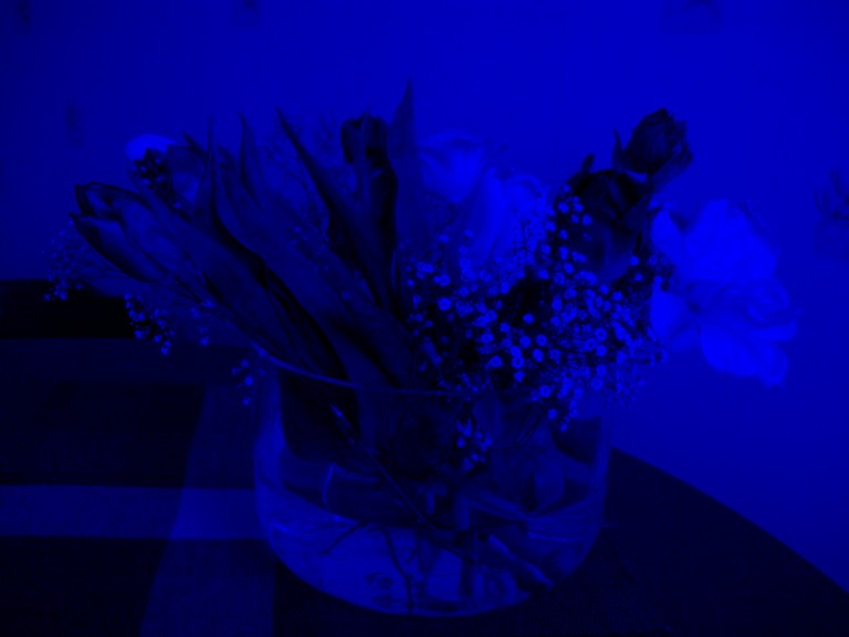 Bl� bild av en bukett