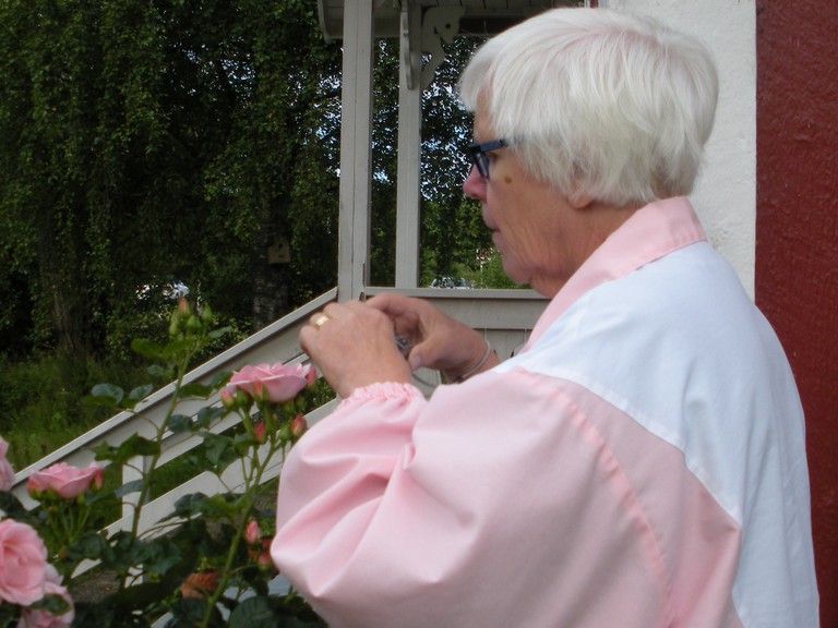 Fotografering av tvestj�rt