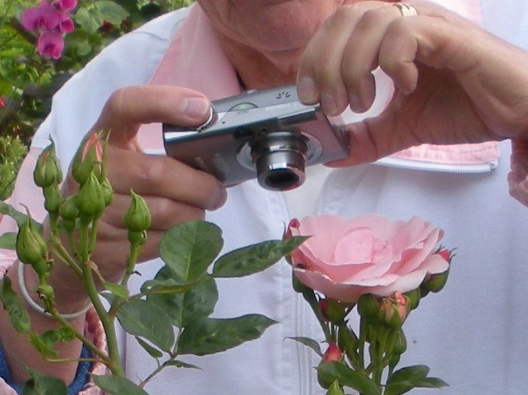 Fotografering av tvestj�rt