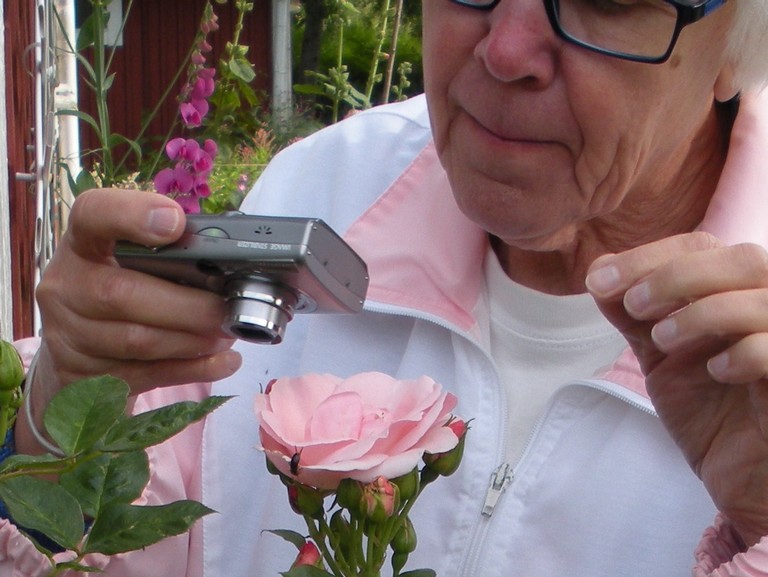 Fotografering av tvestj�rt