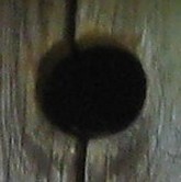 Ing�ngsh�l i en f�gelholk