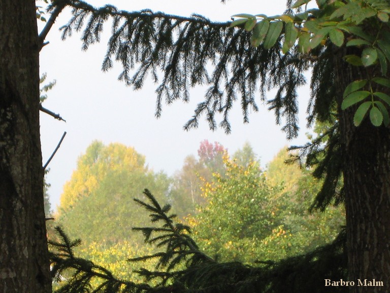 Utsikt med h�stf�rger