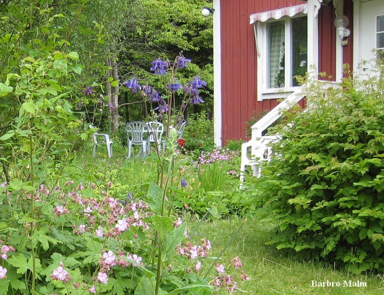 F�rsommar i tr�dg�rden