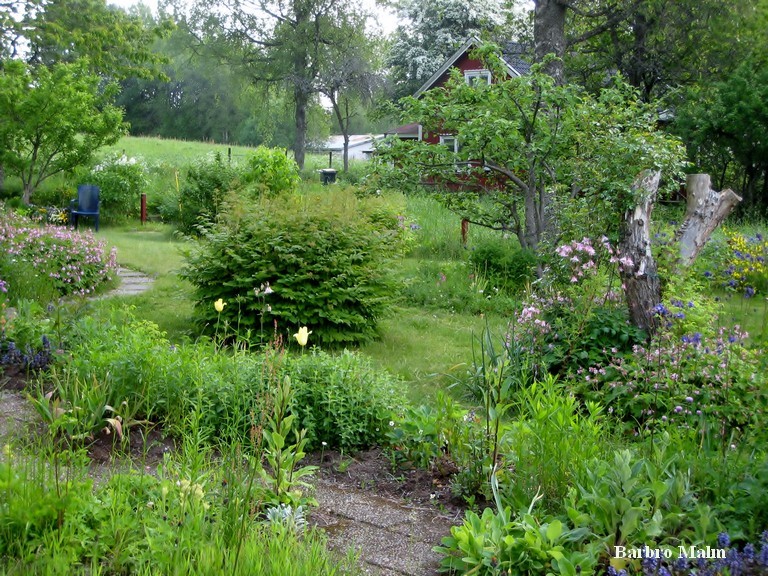 F�rsommar i tr�dg�rden