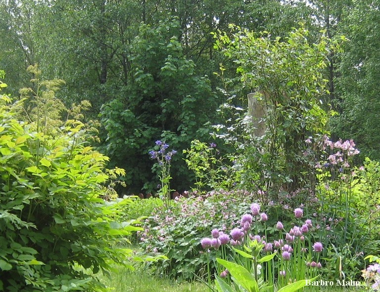 F�rsommar i tr�dg�rden