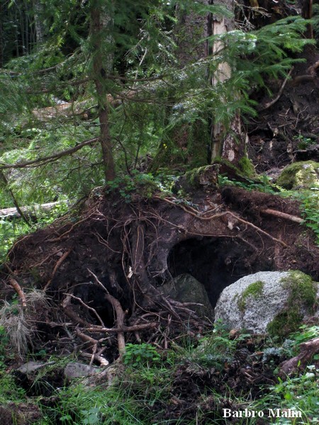 Naturstig vid Em�n