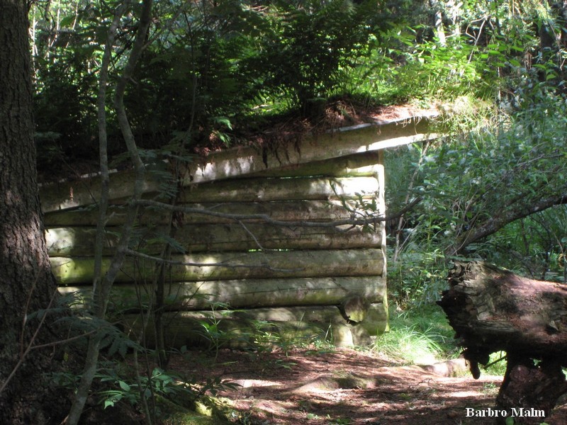 Vindskydd vid Em�n