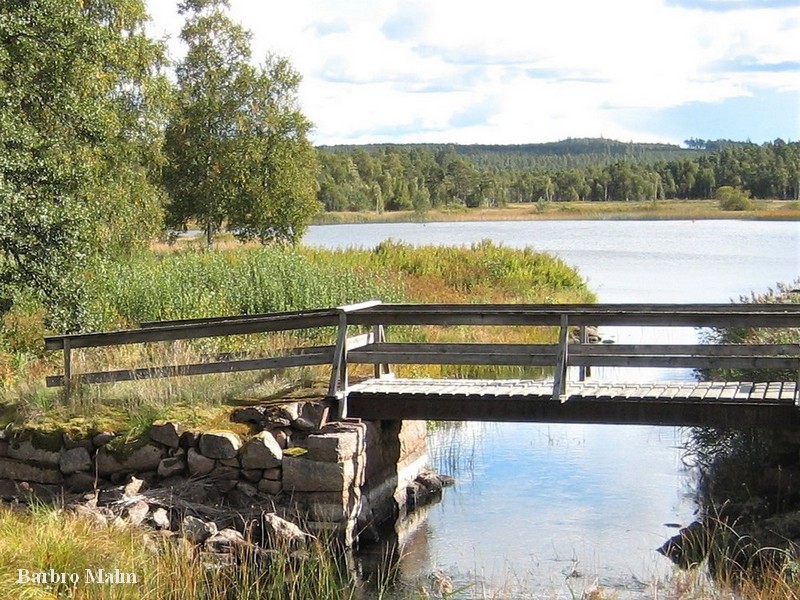 Bulsj��n rinner ut i �sterbysj�n