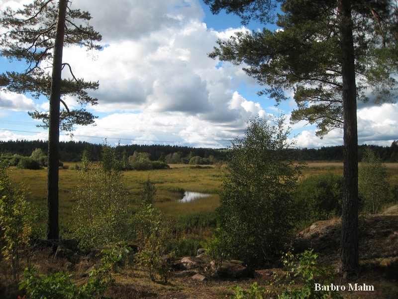 Bulsj��n ovanf�r �sterbymo