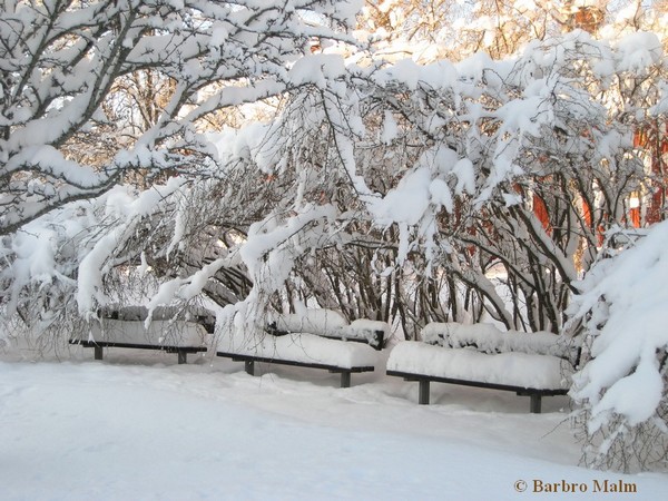 B�nkar vid Sol�ngen i sn�