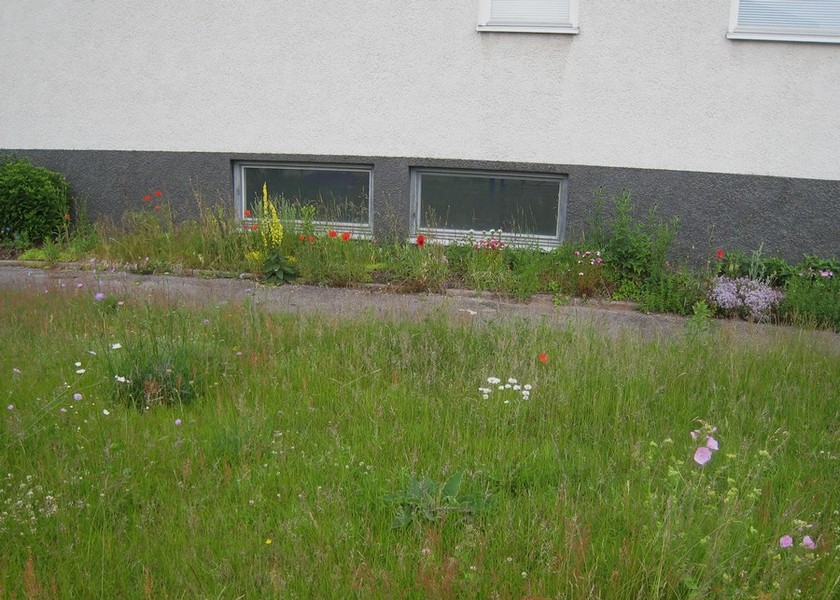 Rabatt och �ng vid Ydrehus 4
