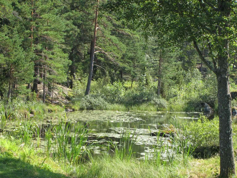 Kvarndamm vid Rs kvarn i Ydre