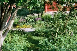 Harstigen, fyrfotadjurens infart