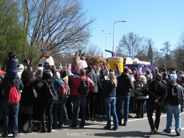 Blomstert�get vid Keukenhof