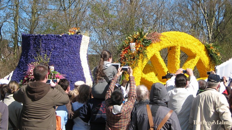 Blomstert�get vid Keukenhof
