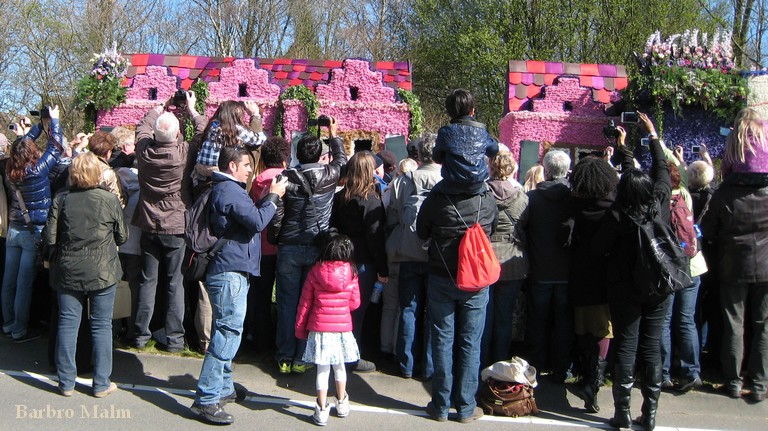 Blomstert�get vid Keukenhof