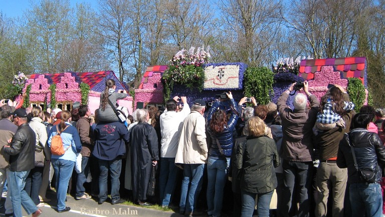 Blomstert�get vid Keukenhof