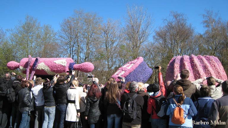 Blomstert�get vid Keukenhof