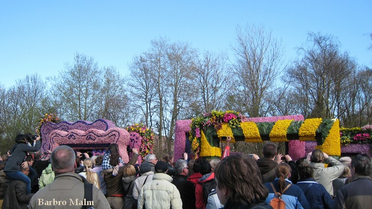Blomstert�get vid Keukenhof