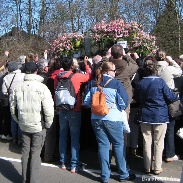 Blomstert�get vid Keukenhof