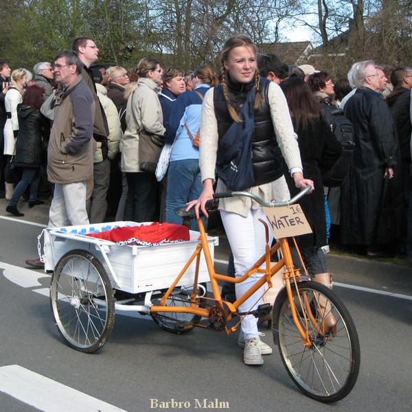 Vattenf�rs�ljare vid Blomstert�get