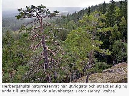 Herbergshult naturreservat